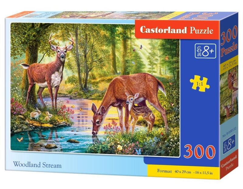 ΠΑΖΛ 300 ΤΕΜ WOODLAND STREAM 40x29cm CASTORLAND