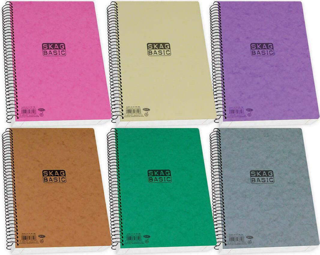 ΤΕΤΡΑΔΙΟ ΣΠΙΡΑΛ A4 3 ΘΕΜΑΤΩΝ BASIC ΜΟΝΟΧΡΩΜΟ (SKAG)